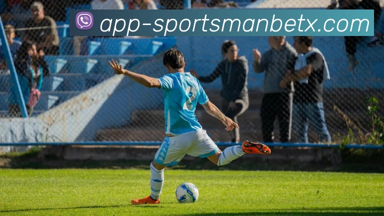 万博体育平台生态图