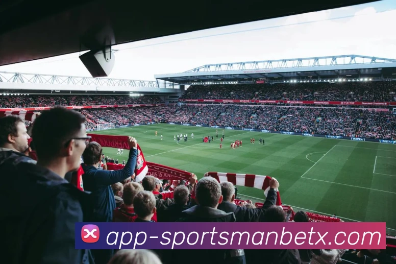 万博体育APP 封面图